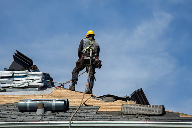 Professional Roof Replacement technician working in Watkins, MN